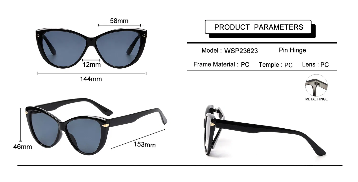 O gato que usava óculos de sol multi