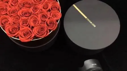 Pintura de flores eternas de flores preservadas premium por atacado para decoração